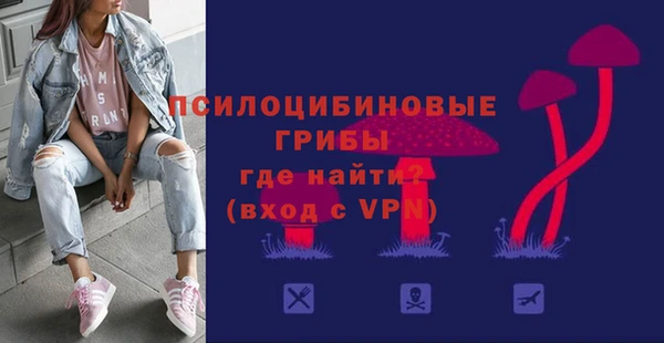 стафф Богданович